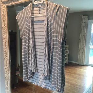 Splendid gray and white striped vest